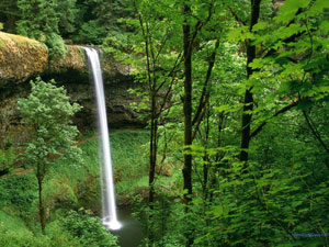 Silver Falls State Park