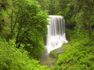 Silver Falls State Park