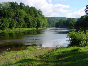 Clarion River - Cook Forest State Park