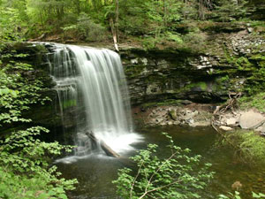 Ricketts Glen State Park - Harrison Wright Falls