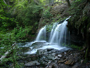 Ricketts Glen State Park - Mohawk Falls