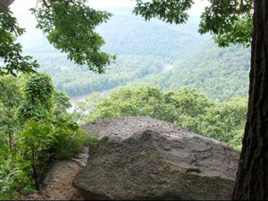 Ohiopyle State Park