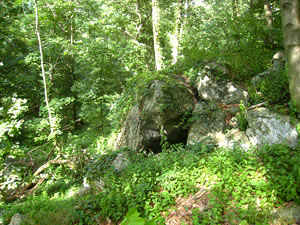 Ohiopyle State Park