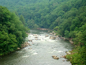 Ohiopyle State Park