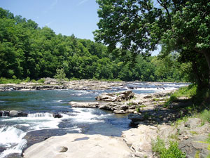 Ohiopyle State Park