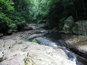 Ohiopyle State Park