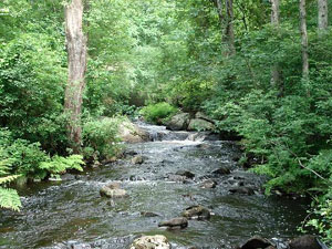 Arcadia Wildlife Management Area