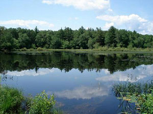 Arcadia Wildlife Management Area