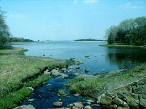 Chafee Nature Preserve