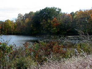 Rhode Island pond