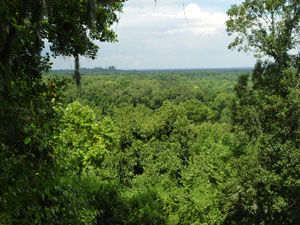 Congaree National Park