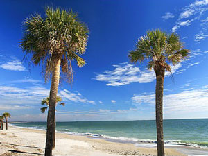 Edisto Beach State Park