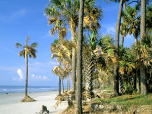 Hunting Island State Park