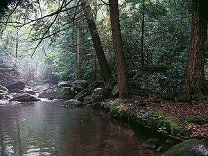 Jones Gap State Park