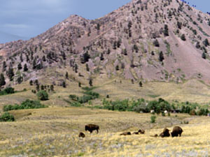 Bear Butte State Park