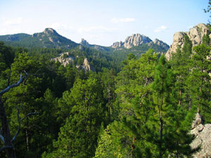 Black Hills National Forest