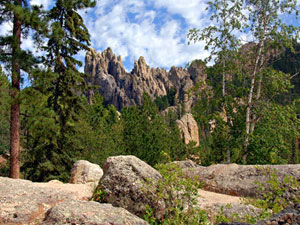 Black Hills National Forest