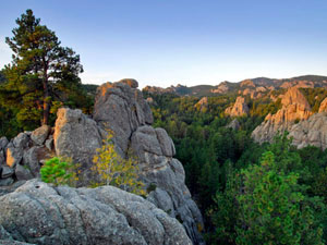 Black Hills National Forest