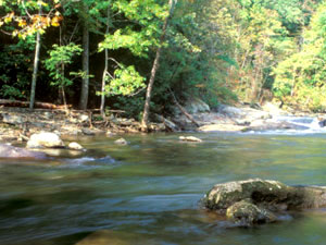 Cherokee National Forest - Bald River