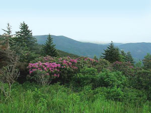 Great Smoky Mountains National Park