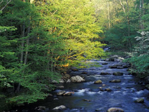 Great Smoky Mountains National Park