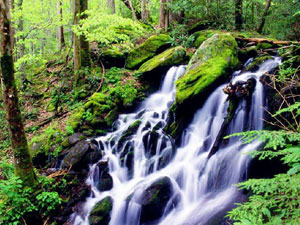 Great Smoky Mountains National Park