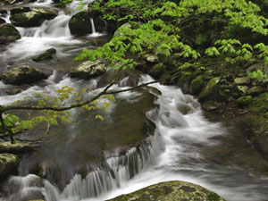 Great Smoky Mountains National Park