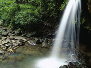 Great Smoky Mountains National Park - Grotto Falls