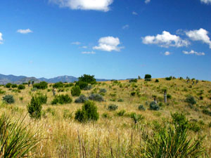 Davis Mountains State Park - Indian Lodge Loop