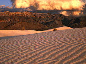 Guadalupe Mountains National Park - gypsum dunes