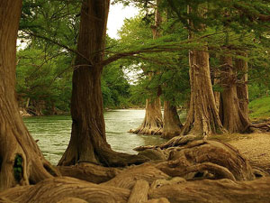 Guadalupe River