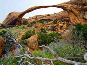 Landscape Arch - Arches National Park