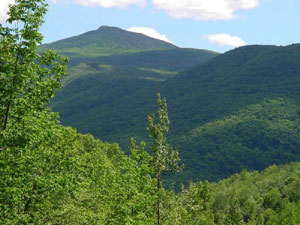 Camels Hump - Green Mountain National Forest