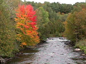 Clyde River - Green Mountain National Forest