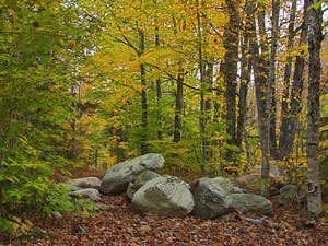 Green Mountain National Forest