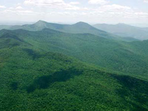 Green Mountain National Forest