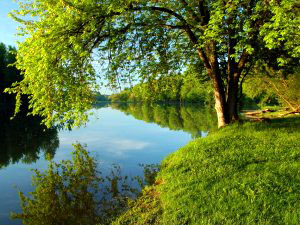 Missisquoi National Wildlife Refuge