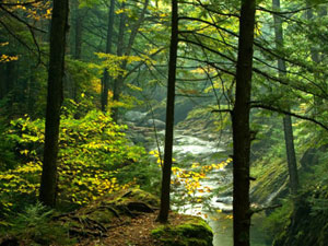 Texas Falls - Green Mountain National Forest