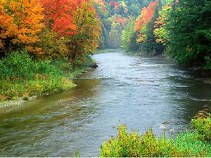 Green Mountain National Forest