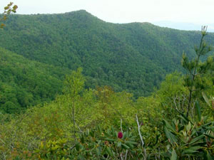 Chimney Top - Jefferson National Forest