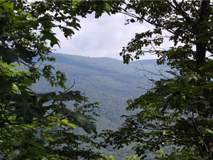 Jefferson National Forest