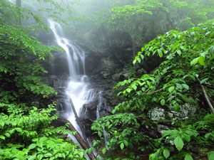 Lower Doyles River Falls