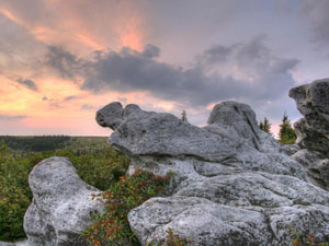 Monongahela National Forest - Bear Rocks