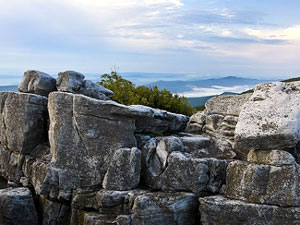 Monongahela National Forest - Dolly Sods Wilderness