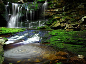 Monongahela National Forest - Elakala Falls