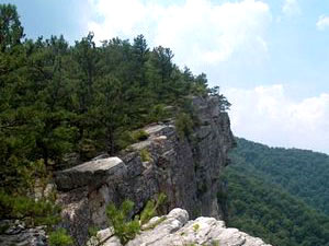 Monongahela National Forest