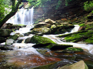 Monongahela National Forest