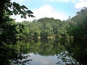 Chippewa Moraine Ice Age Park