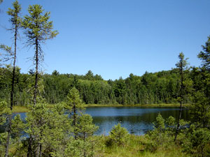 Northern Highland State Forest