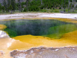 Yellowstone National Park - Emerald Pool